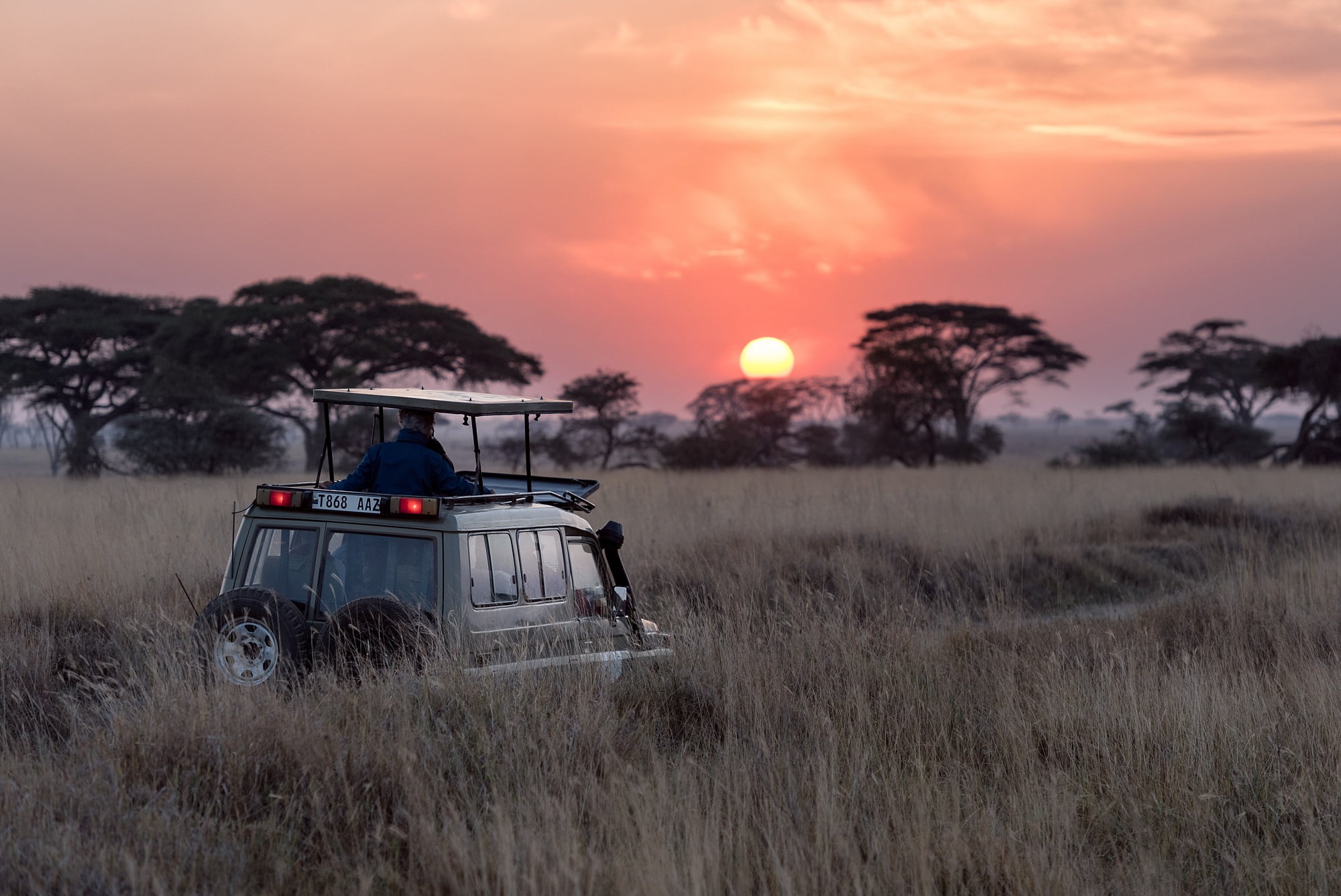 Simba Safari, Tanzania - Marcopolo Holidays